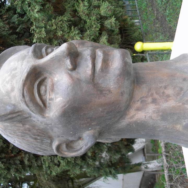 Maria Olaru bust in Deva, Romania image
