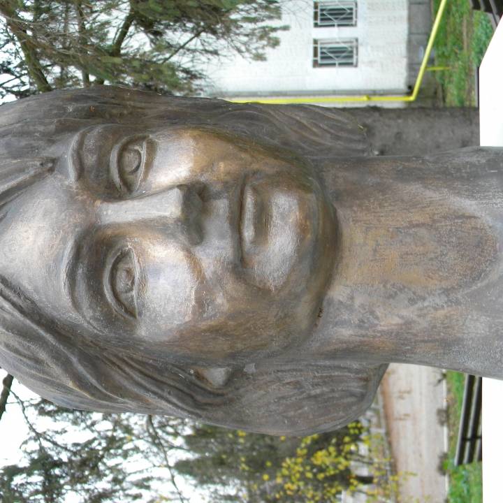 Mariana Bitang bust in Deva, Romania image