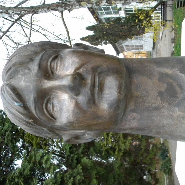 Márta Károlyi bust in Deva, Romania image
