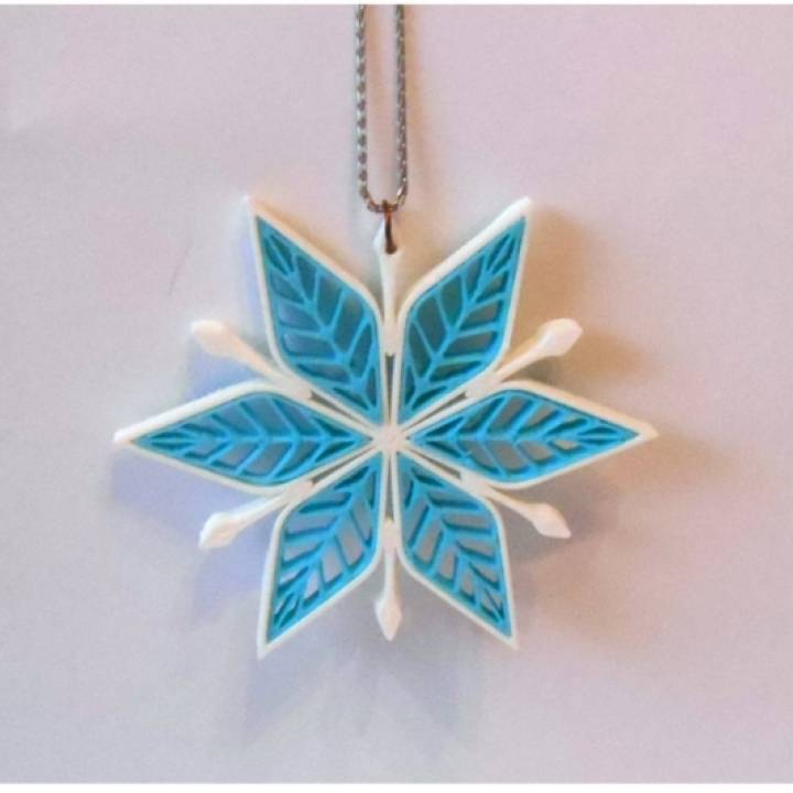 Color Snowflake image