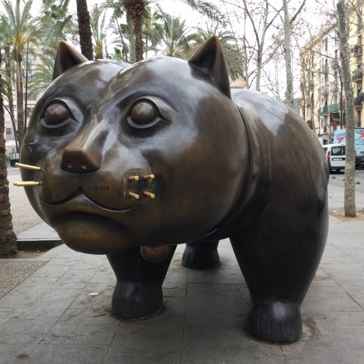 El Gato in Barcelona image