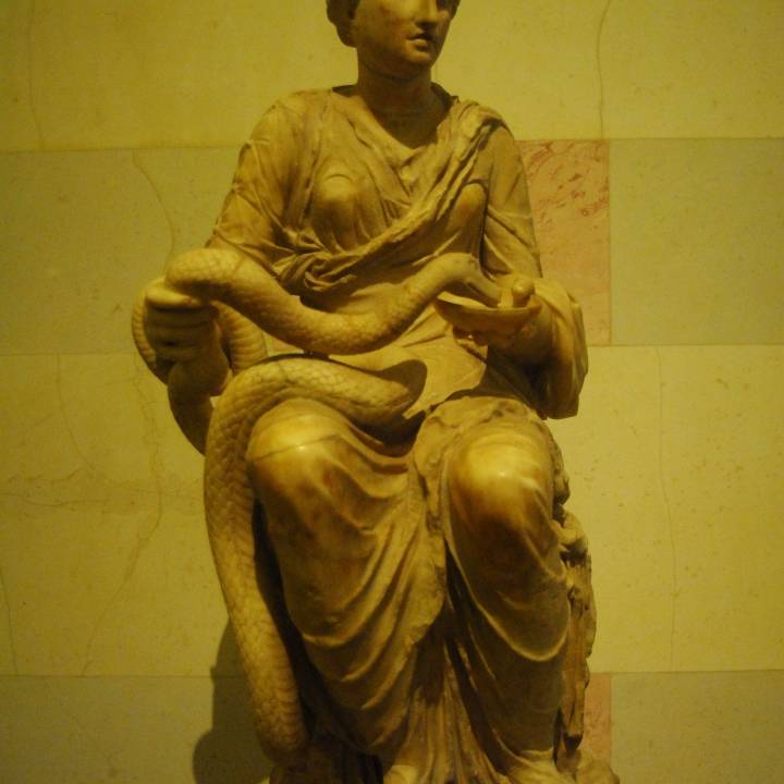 Hygea at The State Hermitage Museum, St Petersburg image