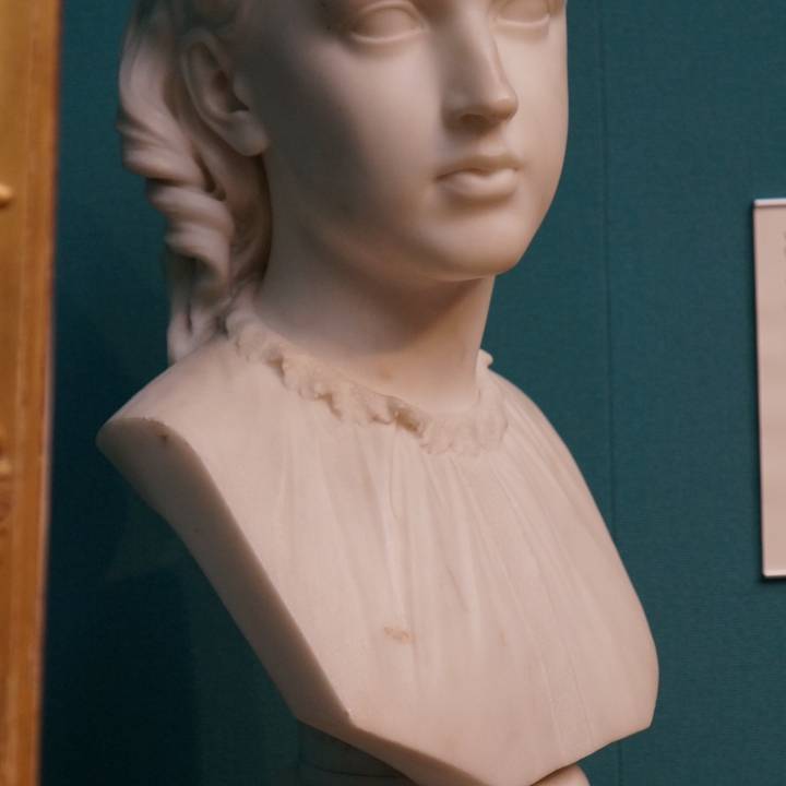 A Scots Girl at The Scottish National Gallery, Scotland image