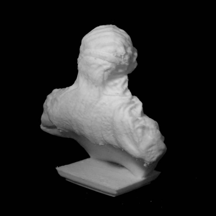 3d Printable Bust Of A Grotesque Old Woman At The Scottish National