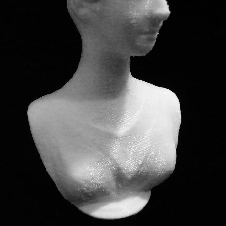 Olivia Kinnaird at The Scottish National Gallery, Scotland image