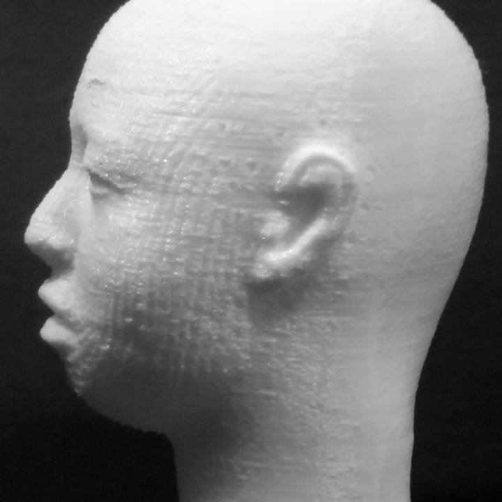 Head of a Yoruba man at The British Museum, London image
