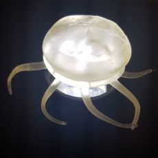 Picture of print of Jellyfish