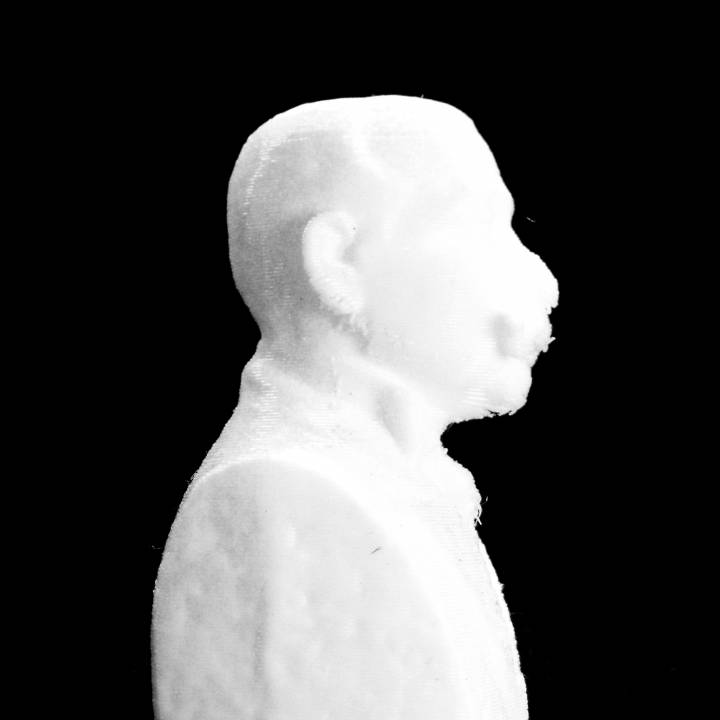 Take Ionescu bust in Alba Iulia, Romania image