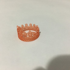 Picture of print of princess Crown Fashion Band