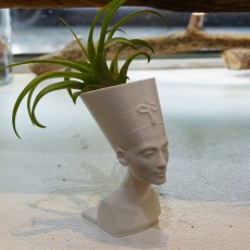 Picture of print of Queen Nefertiti Mini Planter