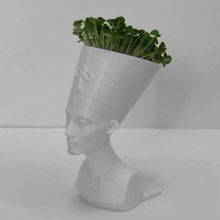 Queen Nefertiti Mini Planter image