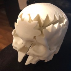 Picture of print of Rotating Skull Gear