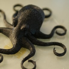 Picture of print of Octopus Magnet