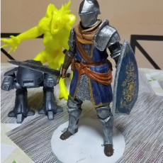 Picture of print of Elite Knight - Dark souls
