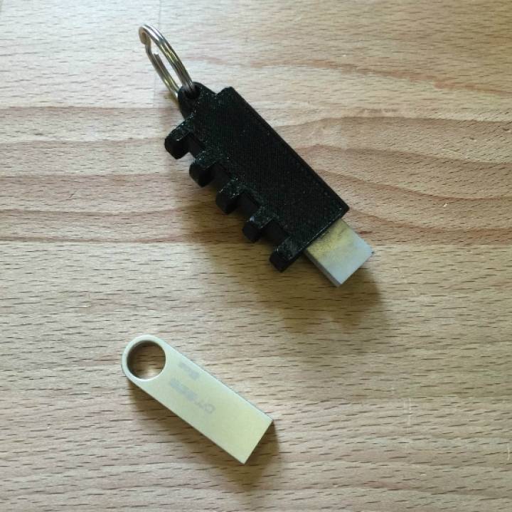 USB Flash Drive Cryptex v2 Modified Case! image