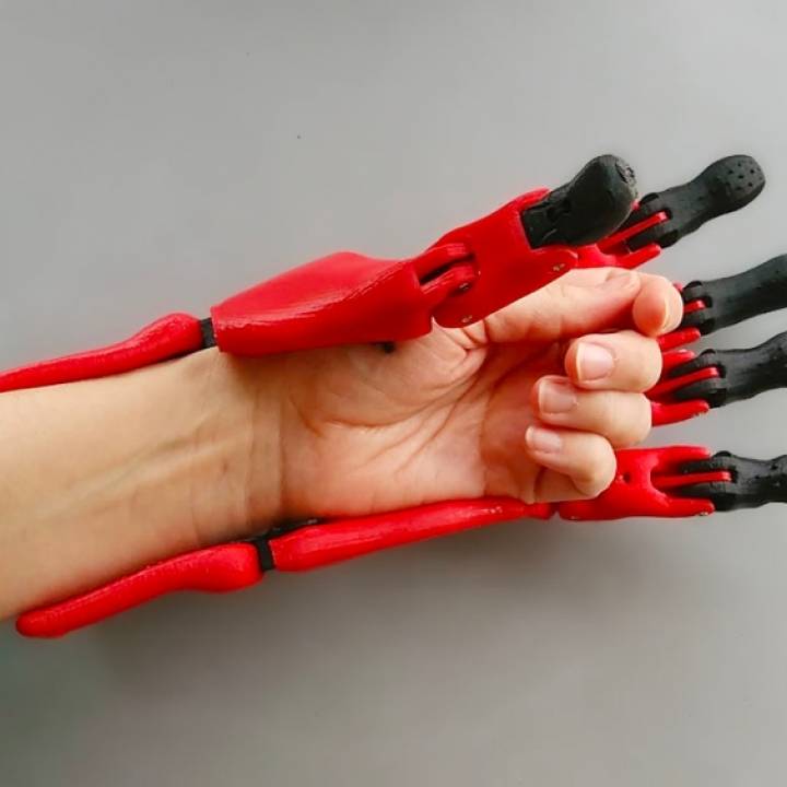 Prosthetic Hand image