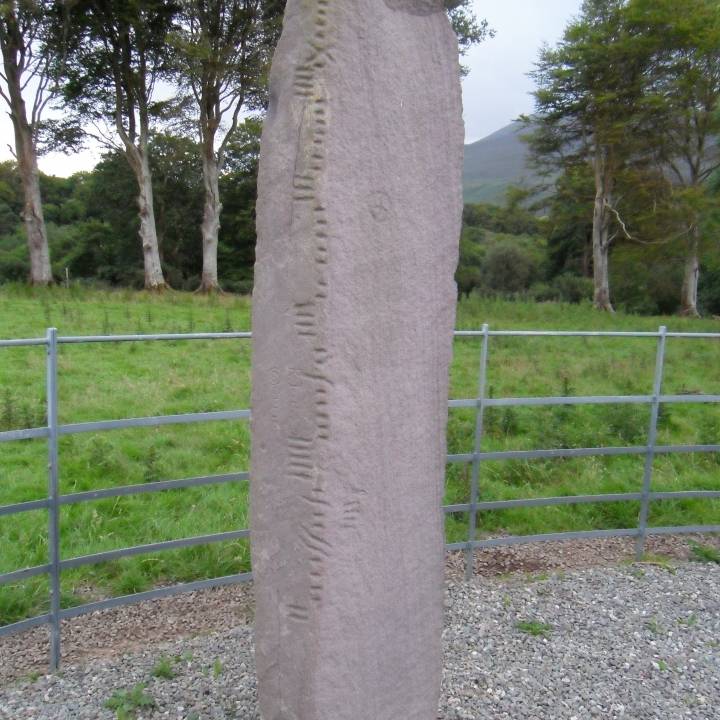 Ogham Stone - Coolmagort - Ireland image