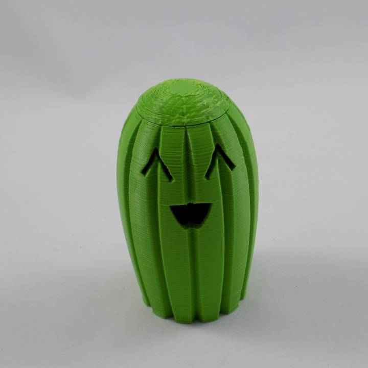 Cactus Pencil Case image