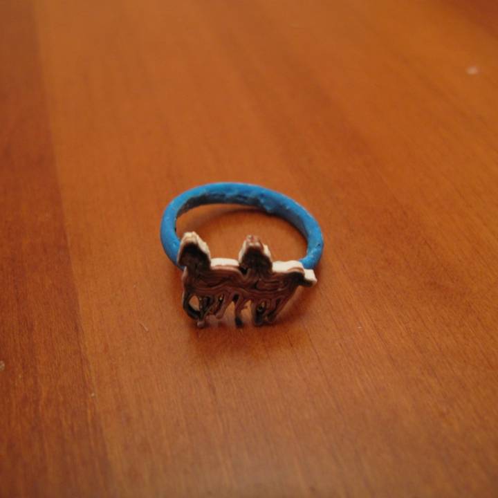 Ring with horse image