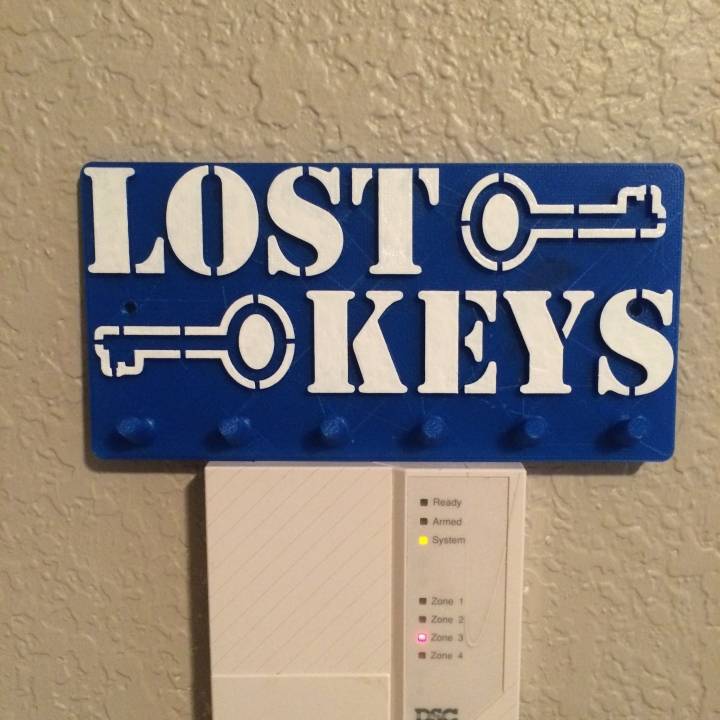 Lost Keys - Key Rack image