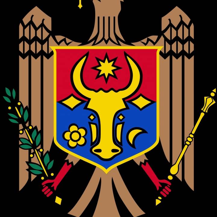 Moldova Coat of Arms in Cluj, Romania image