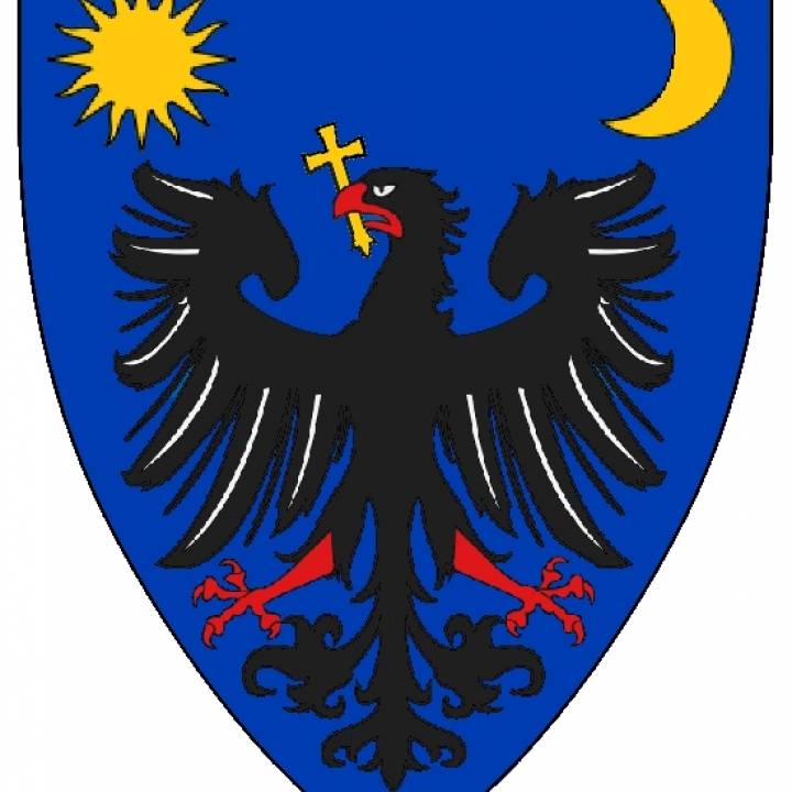 Wallachia Coat of Arms in Cluj, Romania image