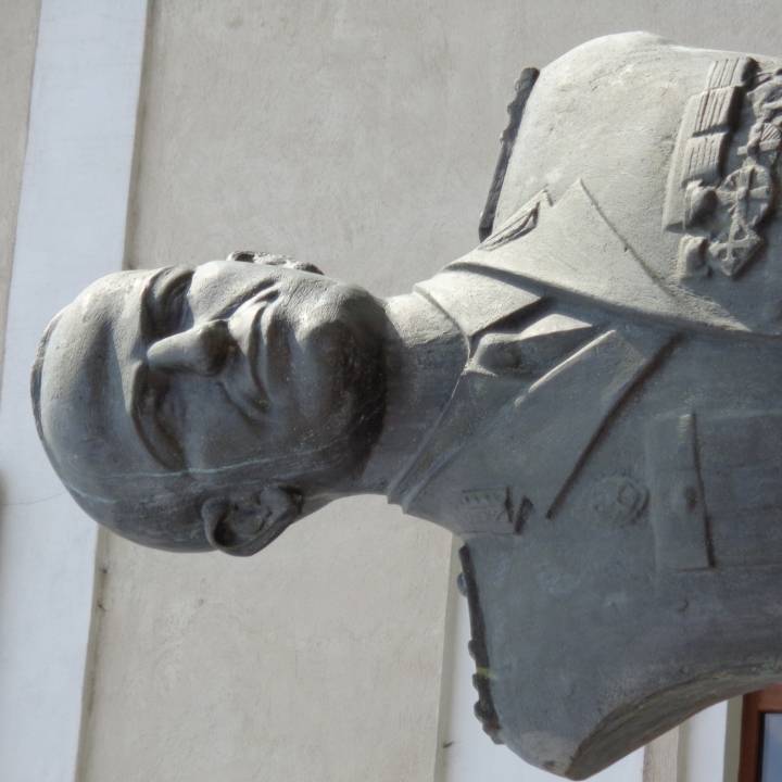 Bust of Nicolae I Dascalescu in Cluj, Romania image