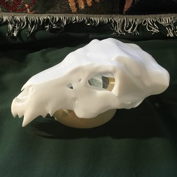 Destiny Young Ahamkara's Spine (Skull Only) image