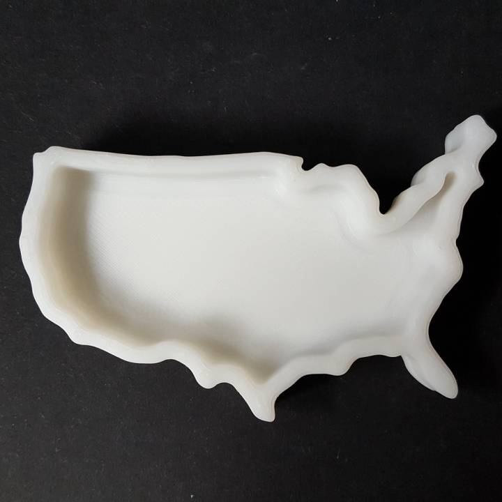 USA Dish image
