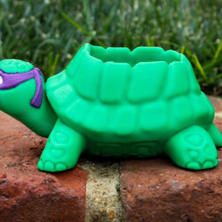 Teenage Mutant Ninja Turtles-inspired Turtle Planter! image