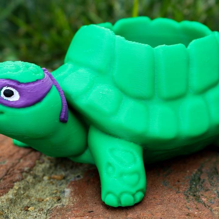 Teenage Mutant Ninja Turtles-inspired Turtle Planter! image