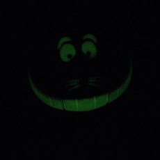 Picture of print of Cheshire Cat