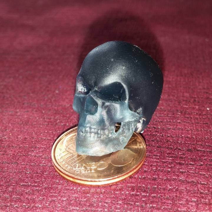 Skull Necklace image