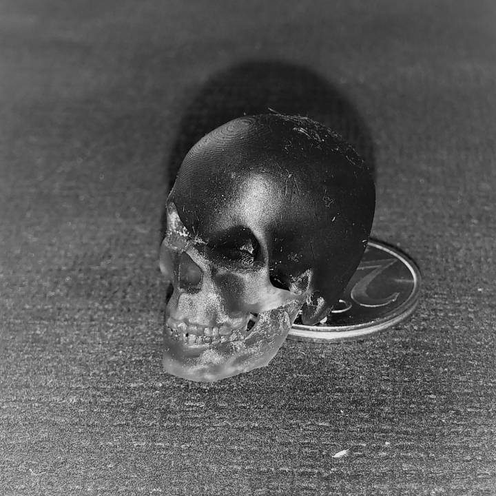 Skull Necklace image