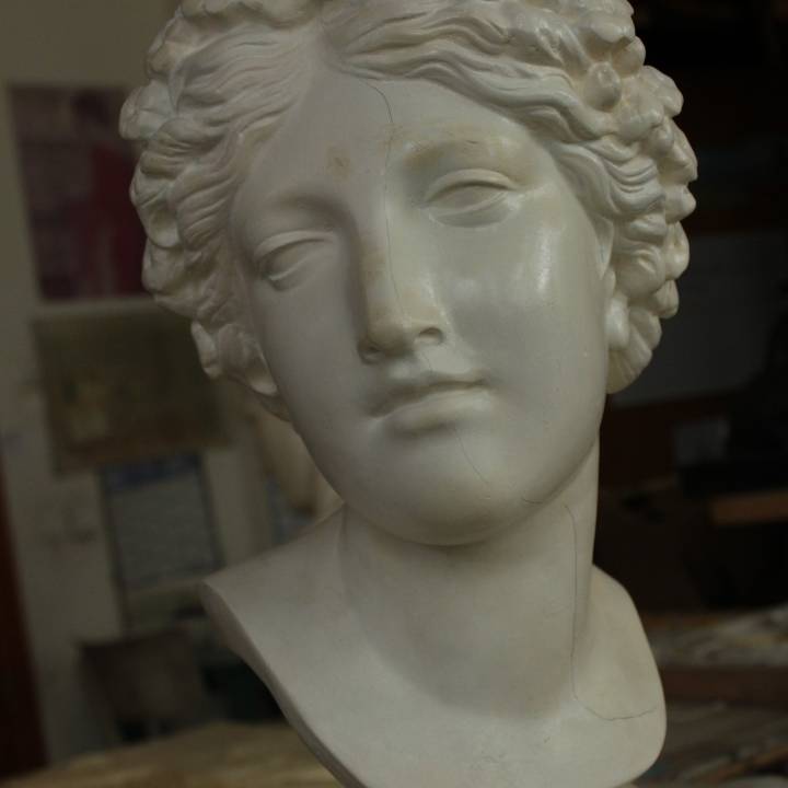 Bust of The Nymph Salmacis at The Réunion des Musées Nationaux, Paris image
