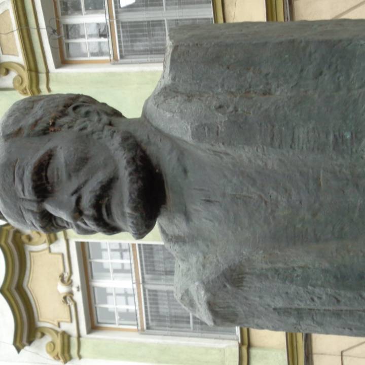 Andrei Muresanu Bust in Astra Park, Sibiu image