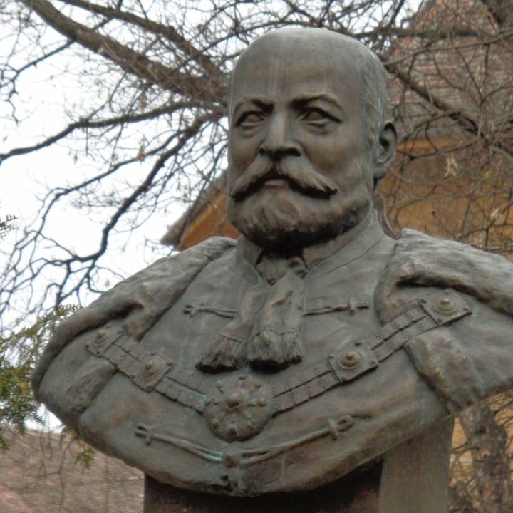 Emanuil Goidu bust in Astra Park, Sibiu image