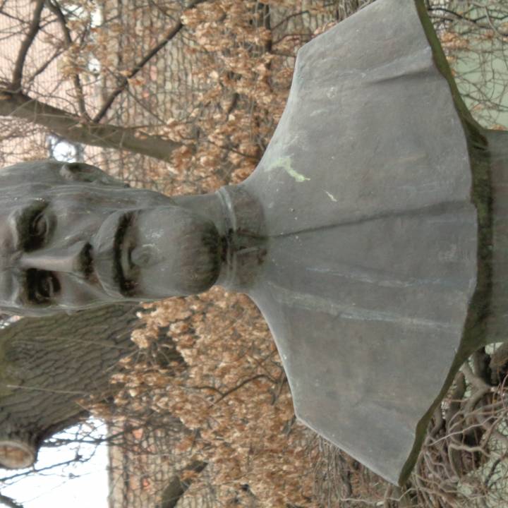 Timotei Cipariu in Astra Park, Sibiu image