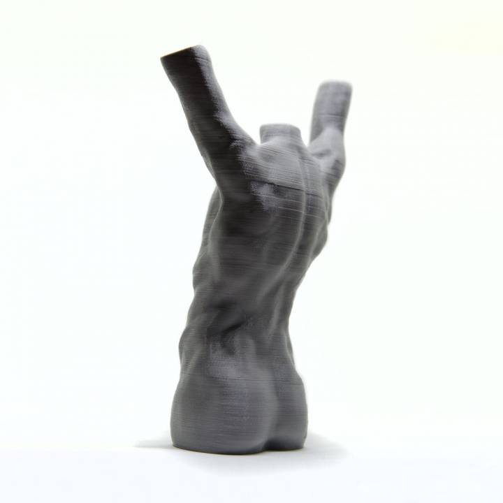 Torso Study Sculpture image