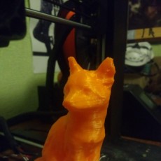 Picture of print of Sitting Fox