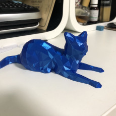 Picture of print of Low Poly Cat