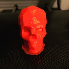 Picture of print of Low Poly Skull