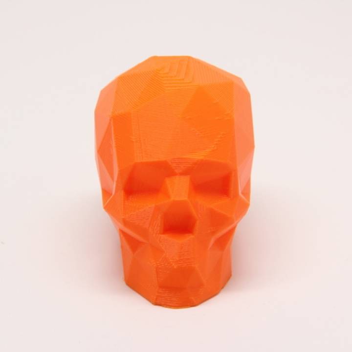Low Poly Skull image