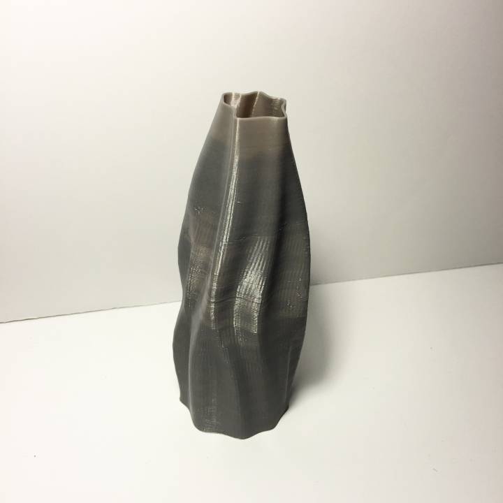 Organic Wavy Vase image