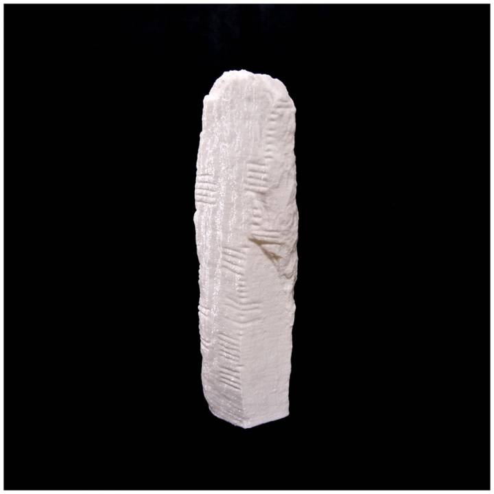 Ogham 3D - CIIC 263. Ardmore I, Co. Waterford image