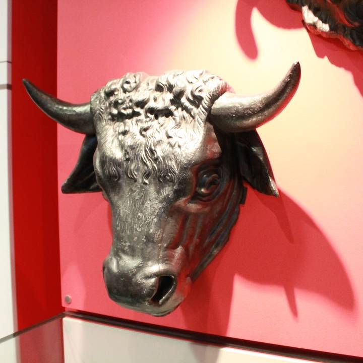 Cow Head at The Islington Museum, London image