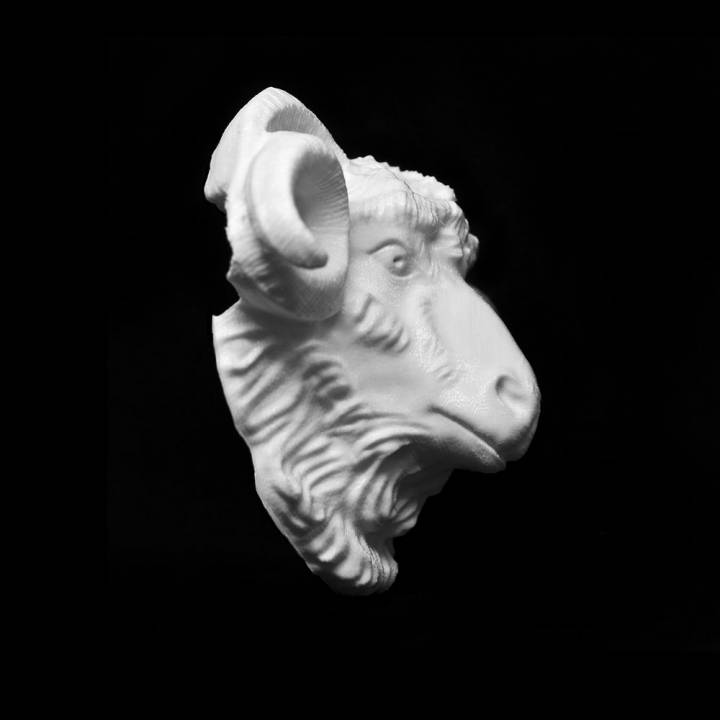 Ram Head at The Islington Museum, London image