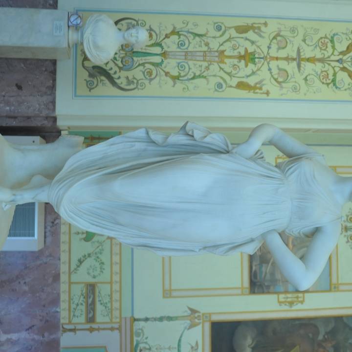 Dancer at The State Hermitage Museum, St Petersburg image