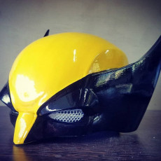 Picture of print of Wolverine Helmet