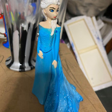 Picture of print of Elsa from 2013 Frozen